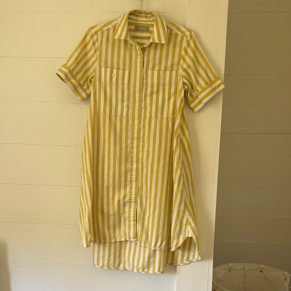 Everlane Daytripper Dress